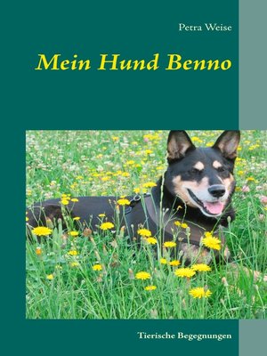 cover image of Mein Hund Benno